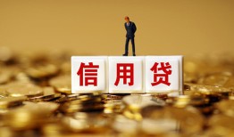 成都民间哪有个人借贷-成都民间小额贷款公司-成都民间私借空放免费上门