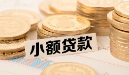 成都民间身份证贷款平台-成都民间私人借贷不查征信-成都民间空放借钱